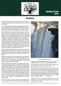 irish tree society newsletter 2014